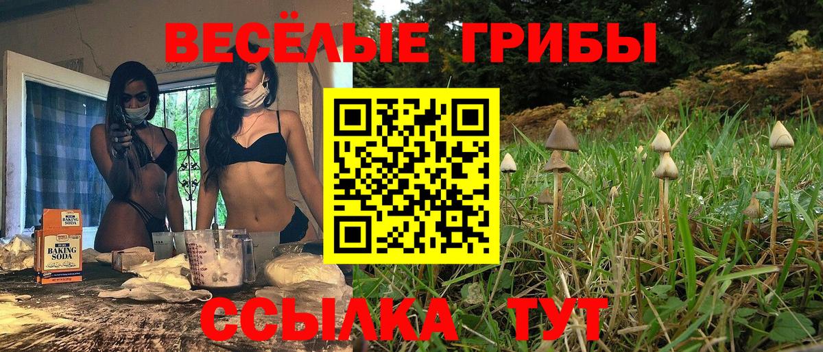 Славянск-на-Кубани  Псилоцибиновые грибы Cubensis  Галлюциногенные грибы MAGIC MUSHROOMS  Вход с VPN 